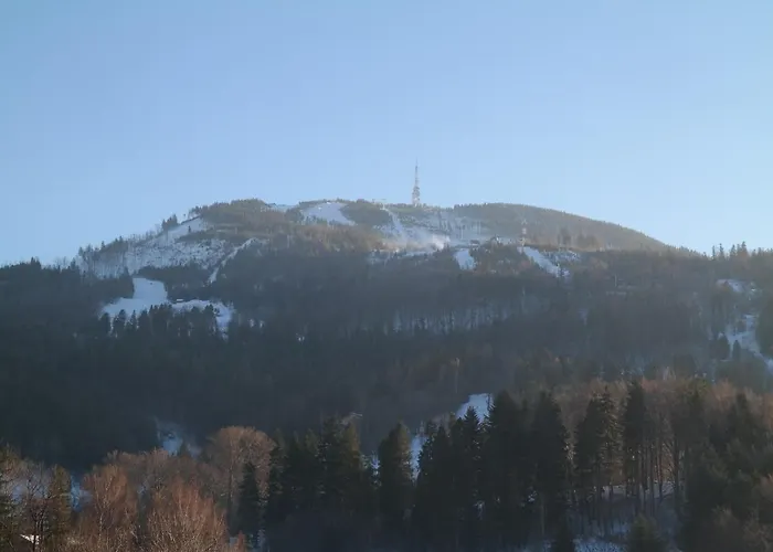 Apartament Dla Rodzin Marron 12 Z Sauna, Bawialnia I Widokiem Na Skrzyczne - Dream Apart *